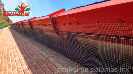 malla control de palomas restringe el acceso de estas aves a tus edificios