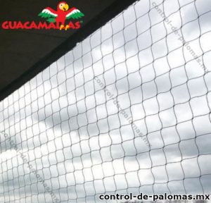 Malla anti aves colocada en departamentos