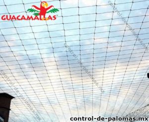 Malla anti palomas instalada en una azotea