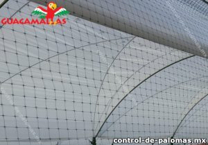 Malla anti palomas instalada en campo de cultivos