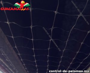 Malla anti palomas