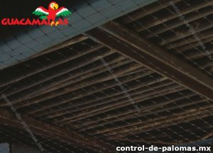 Estructura metálica y malla anti palomas
