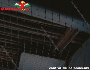 Malla anti palomas y estructura metálica